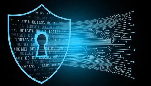 信息时代，维护网络安全刻不容缓 聚焦网络与信息安全软件开发